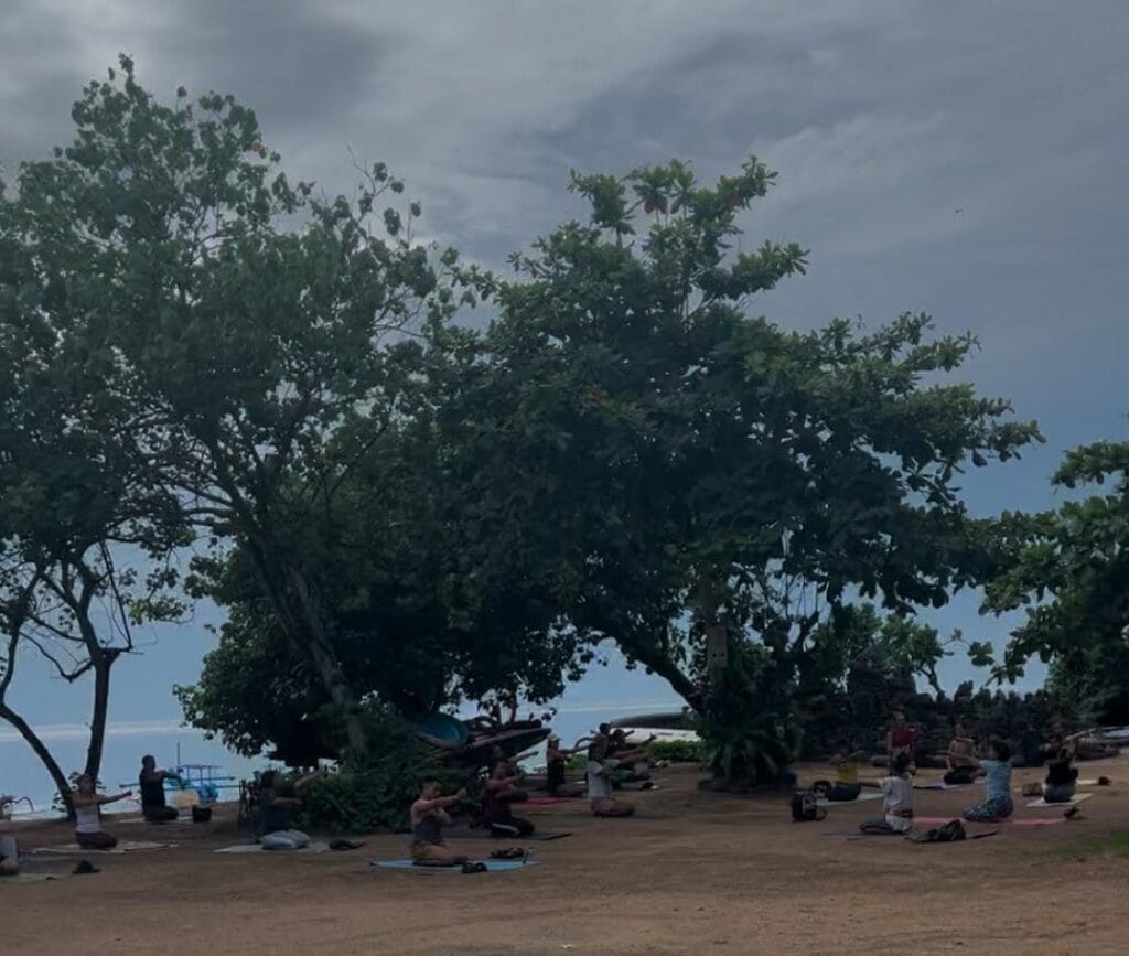 People practicing yoga outdoors under large trees by the ocean on a cloudy day, embracing a lifestyle of balance and tranquility.
