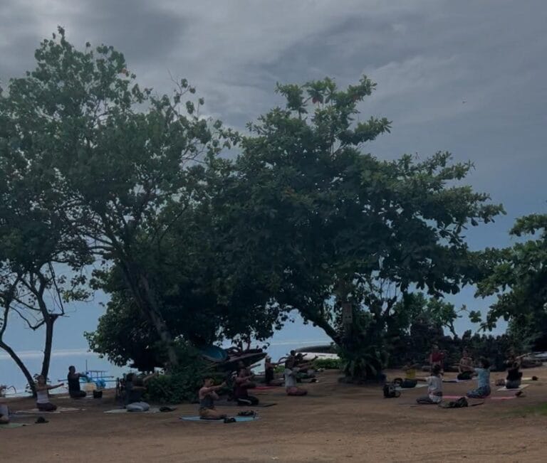People practicing yoga outdoors under large trees by the ocean on a cloudy day, embracing a lifestyle of balance and tranquility.